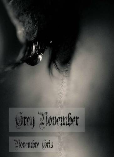 Grey November : Novembre Gris